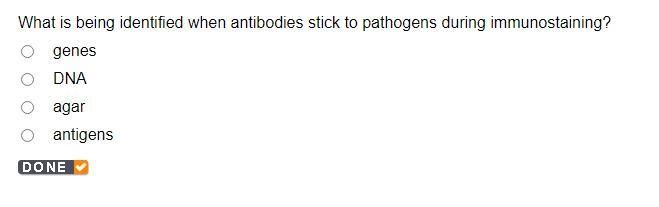 What is being identified when antibodies stick to pathogens during immunostaining-example-1