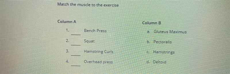 Match the muscle to the exercise-example-1