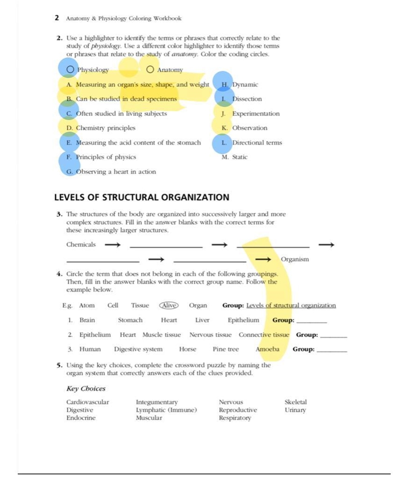 The human body class ASAP-example-1