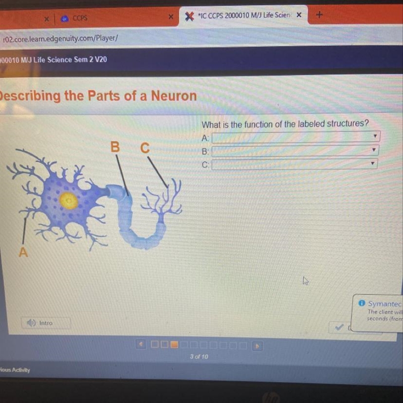 What is the function of the labeled structures-example-1