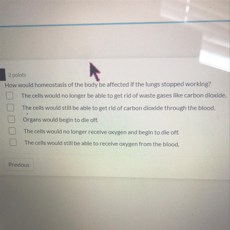 How would homeostasis of the body be affected if the lungs stopped working? The cells-example-1