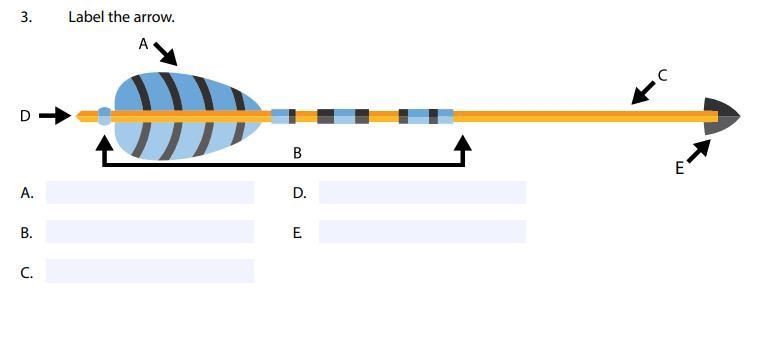 Need help! archery assignment due tomorrow-example-1