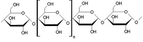 In the molecule pictured above, the section in brackets is which of the following-example-1