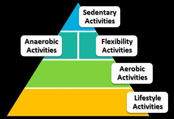 List the following four activities in the order they would go in the physical activity-example-1