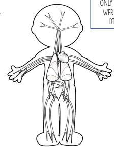 The body system pictured is primarily responsible for- protecting and defending the-example-1