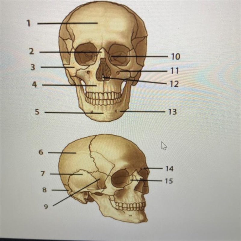 Label these if you can-example-1