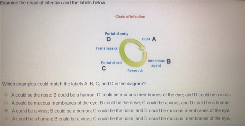 Please help me! Which examples could match the labels A, B, C, and D in the diagram-example-1