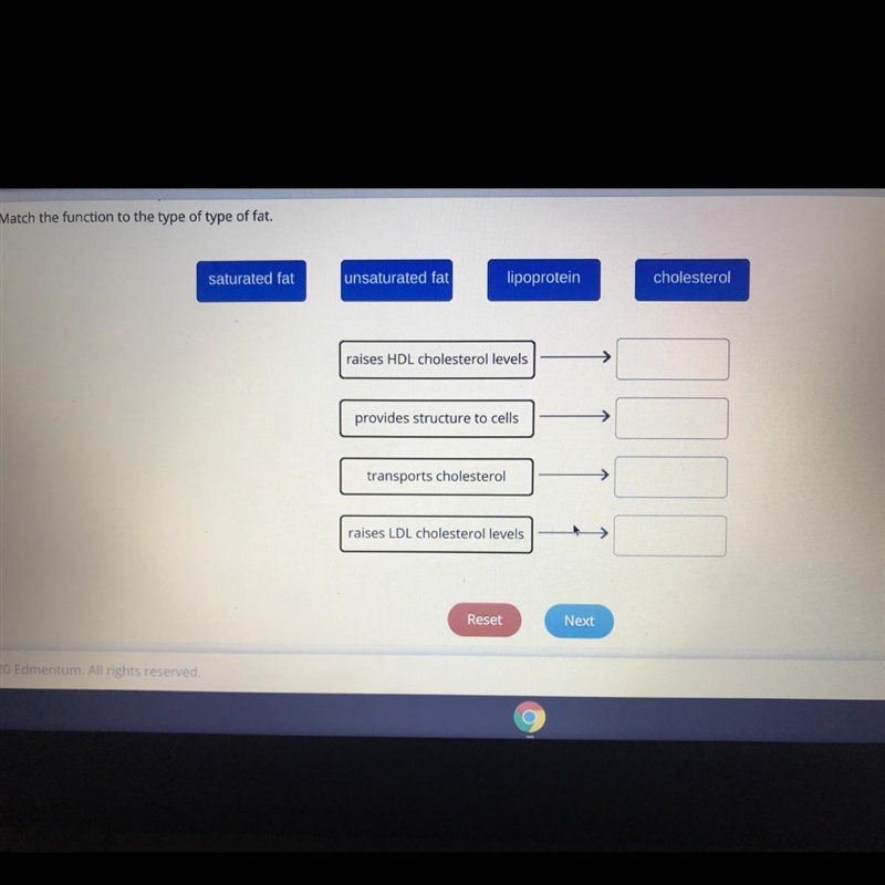 Match the function to the type of type of fat-example-1