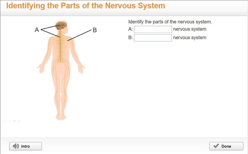 Please help me with science I really wanna go outside and play volleyball :D-example-1