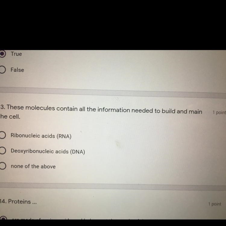 These molecules contain all the information needed to build and main the cell. True-example-1