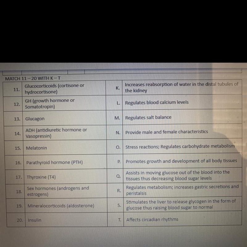 Match the word with the function plsss help-example-1