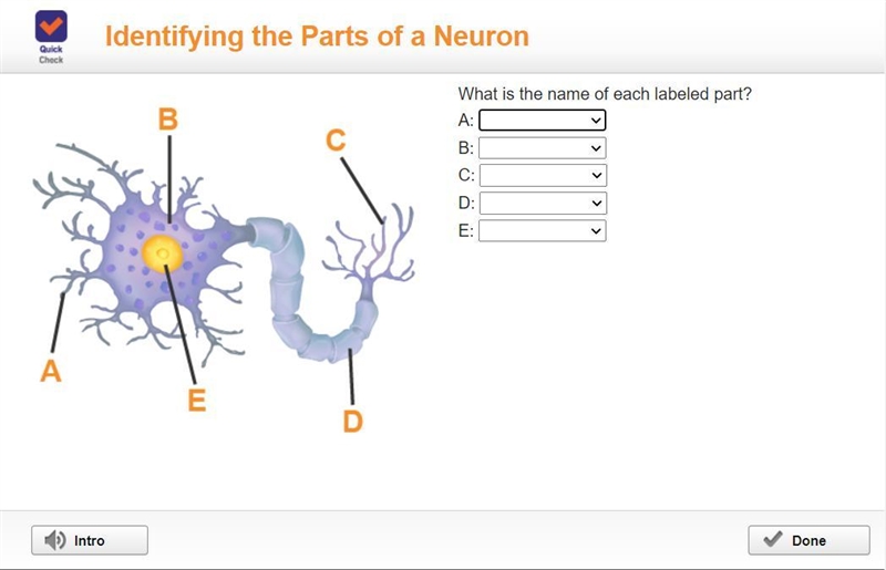 Help me please (no bs)-example-1