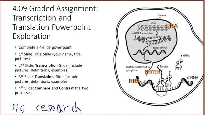 Plz help ASAP! Ill give as much as I can! Ill do the first slide. I need help on the-example-1