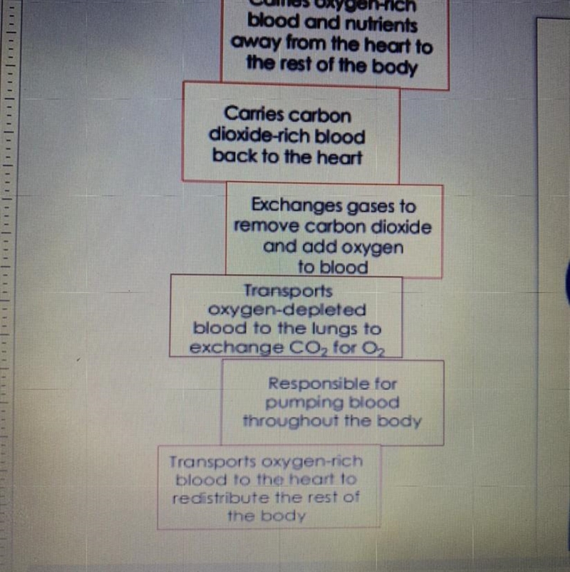 Directions: Place the labels in the correct place on the diagram to show how blood-example-1