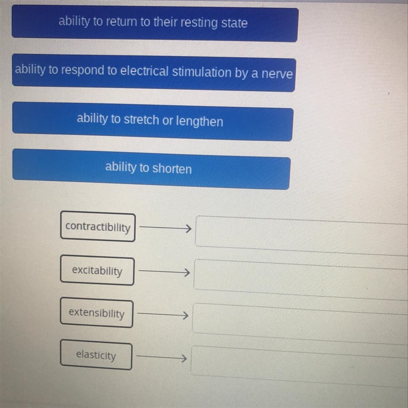 Drag the tiles to the correct boxes to complete the pairs. Match the property of muscle-example-1