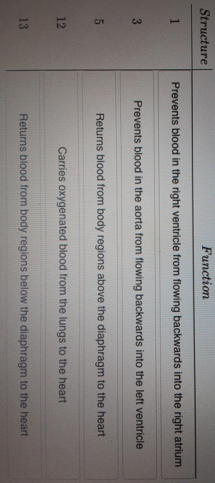 Match each labelled structure to its respective function.​-example-1