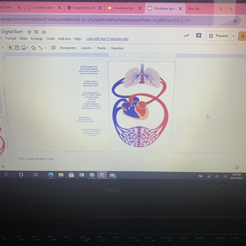 Directions: Place the labels in the correct place on the diagram to show how blood-example-1