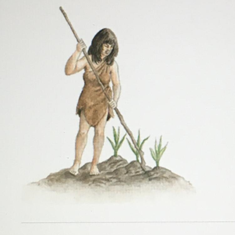 How does this image represent the Neolithic Revolution? A. It shows that farming led-example-1