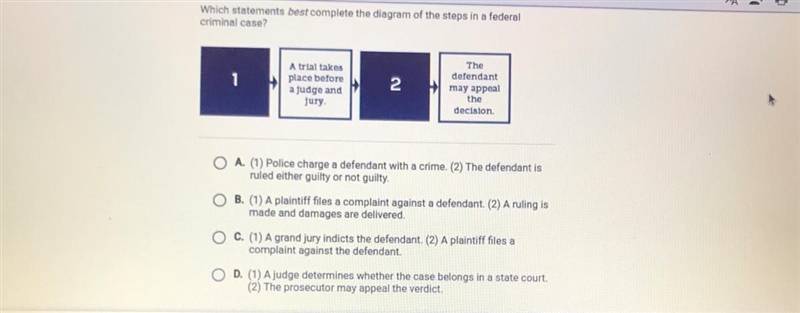 Which statement best complete the diagram of the steps in federal criminal case?-example-1