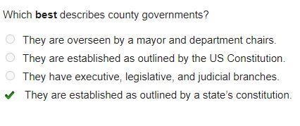 Which best describes county governments?-example-1