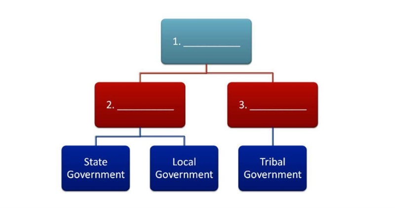 Which phrase correctly completes box #3 in the chart above? A. State Constitution-example-1