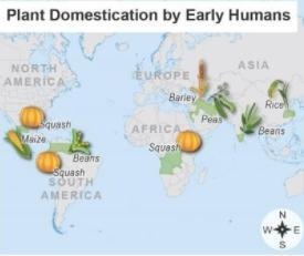 PLS HELP ME ;c What are the best reasons for using this map? Choose two correct answers-example-1