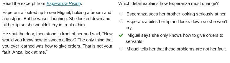 Which detail explains how Esperanza must change? O Esperanza sees her brother looking-example-1