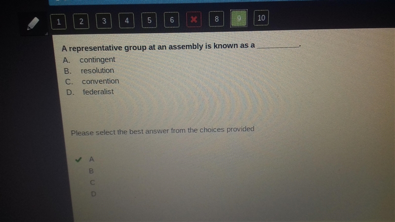 A representative group at an assembly is known as a _______-example-1