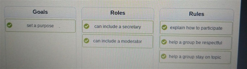 What are the goals, roles, and rules of formal discussions? Sort each idea into the-example-1