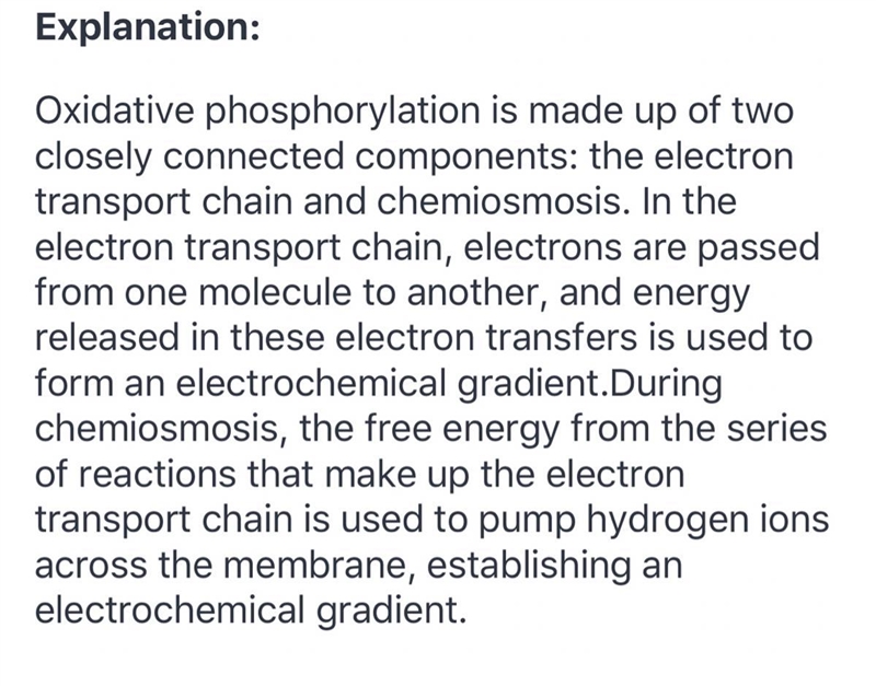 Describe the process of oxidative phosphorylation​-example-1