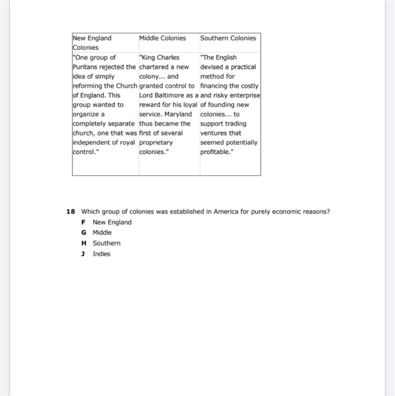 Which group of colonies was established in America for purely economic reasons? New-example-1