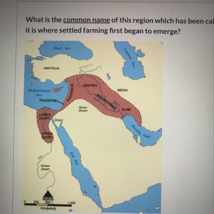 What is the common name of this region which has been called the "cradle of civilization-example-1