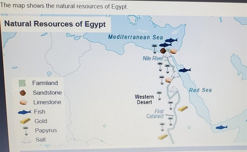 The map shows the natural resources of Egypt. Gold could be found the closet to which-example-1