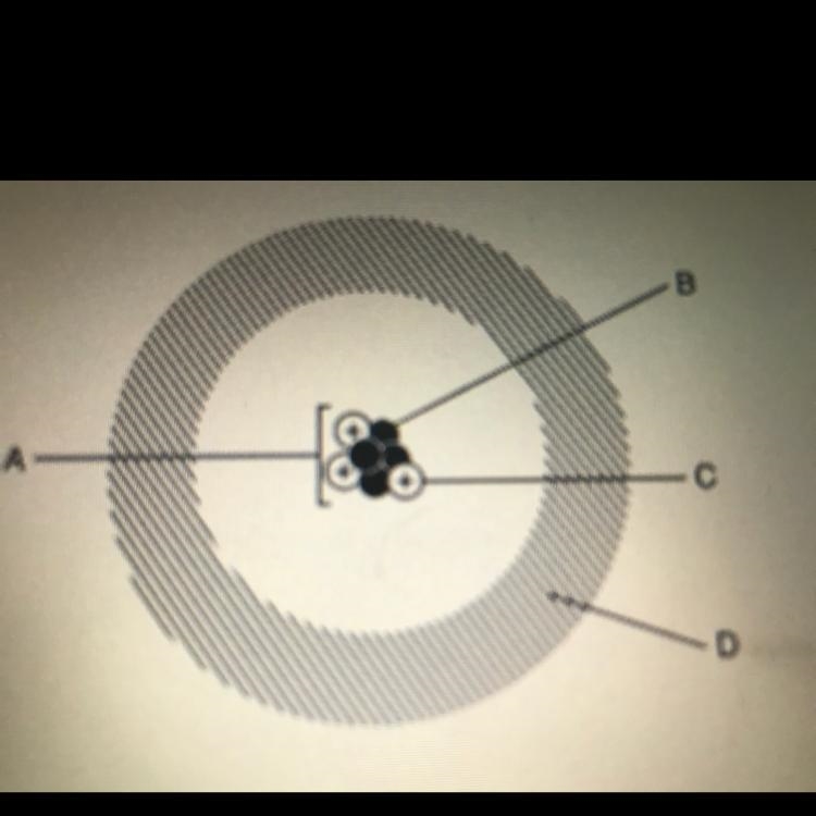 The diagram below shows a model of an atom. Which label points to the nucleus? * B-example-1