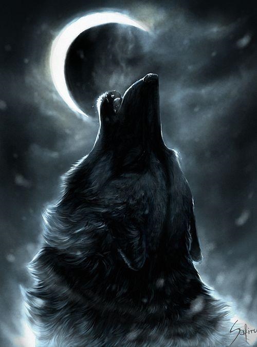 Cool wolf pics part 1-example-4