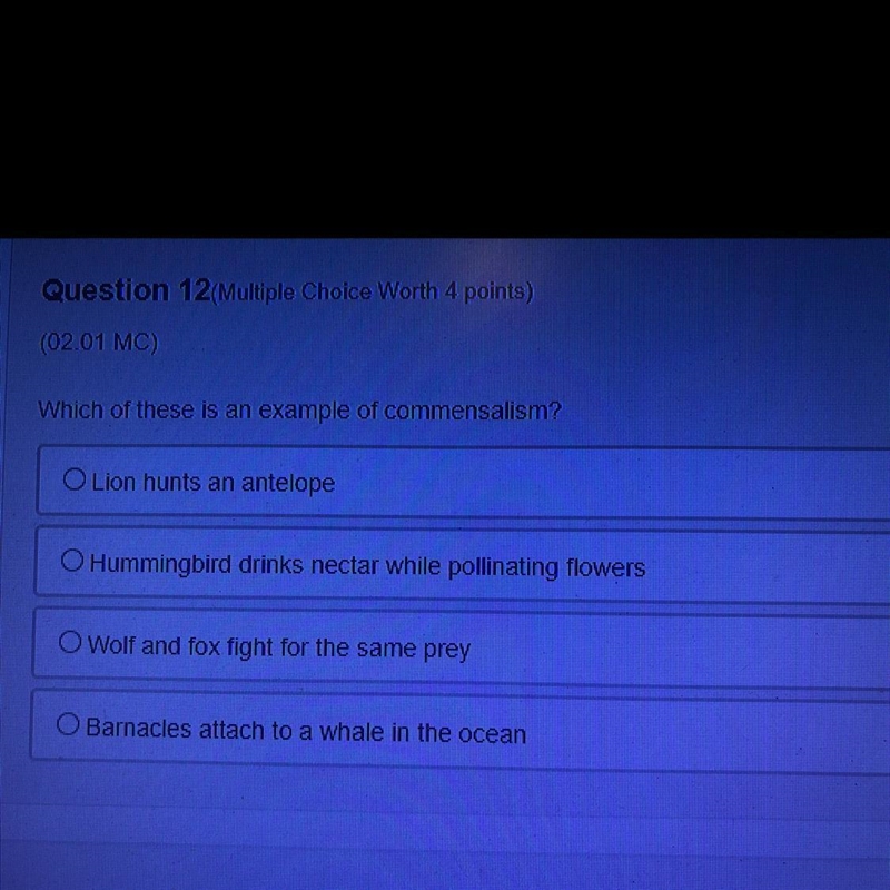 Which of these is an example of commensalism?-example-1