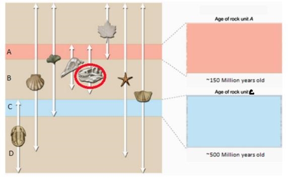 Use the diagram below to answer the following question. Which of the following most-example-1