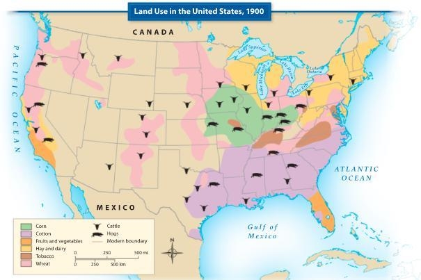 In 1900, what was land in Arizona used for? A. Mining B. Cattle C. Cotton D. Wheat-example-1