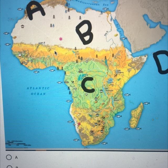 Which point on the map below would be considered ’sub- Saharan Africa’? A B C D-example-1