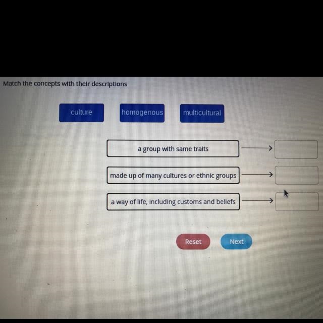 Match the concepts with their descriptions culture, homogenous, and multicultural-example-1