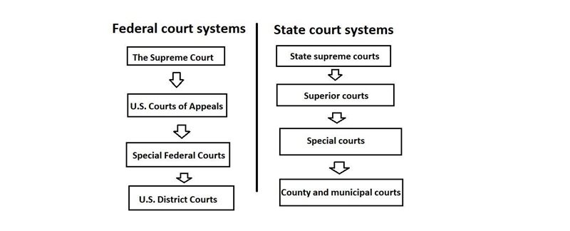 To help you understand this complex system, create an infographic of the federal and-example-1