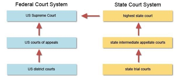 The judicial branch of the United States has many layers and units. On the federal-example-1