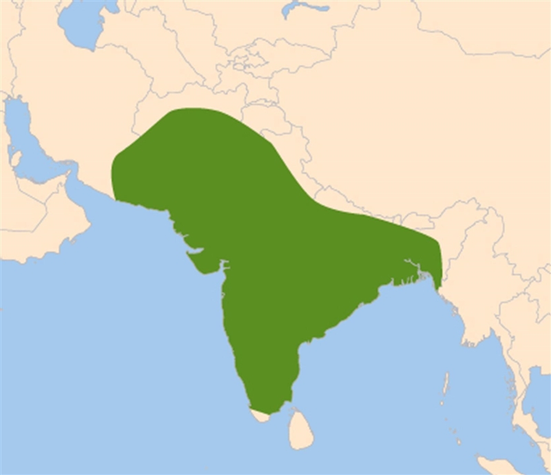 What does the shaded area on the map show? India after World War II Bangladesh after-example-1