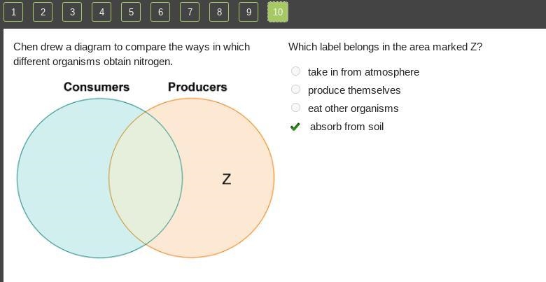 Chen drew a diagram to compare the ways in which different organisms obtain nitrogen-example-1