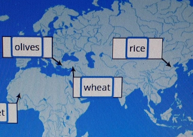 Look at the timeline showing when and where the world’s most popular grains and vegetables-example-2