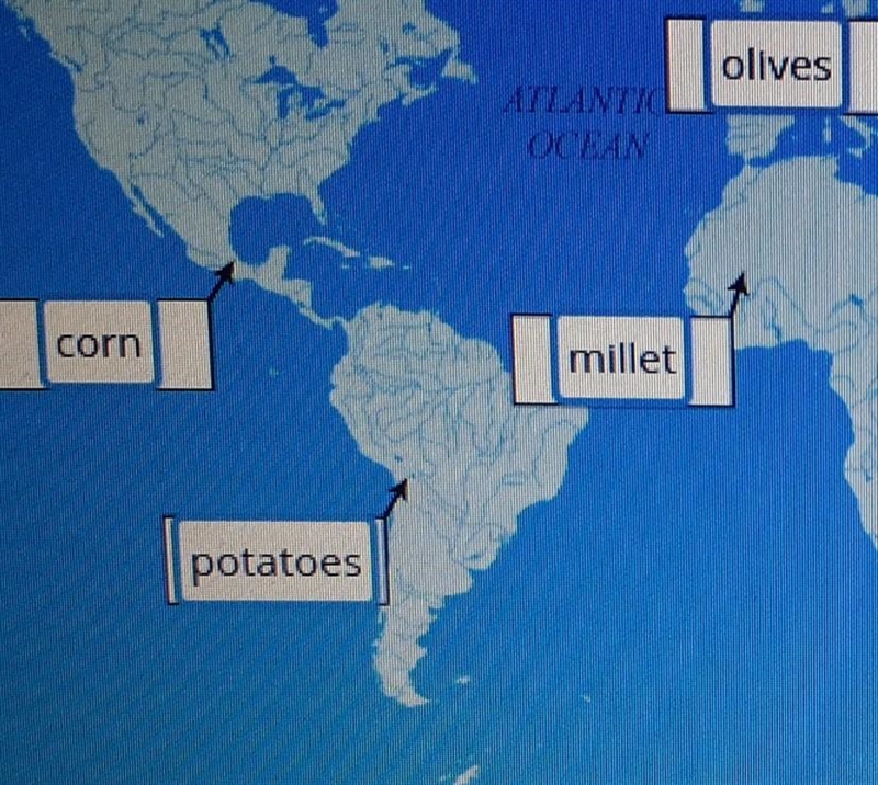 Look at the timeline showing when and where the world’s most popular grains and vegetables-example-1