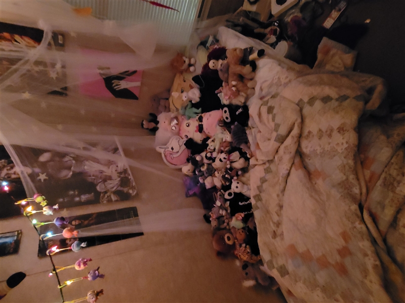 Whoses bed still looks like this?-example-1