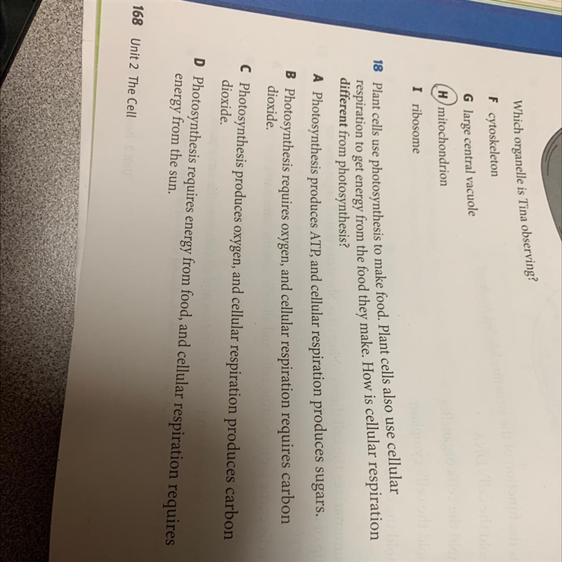 Number 18 please hurry 10 points-example-1