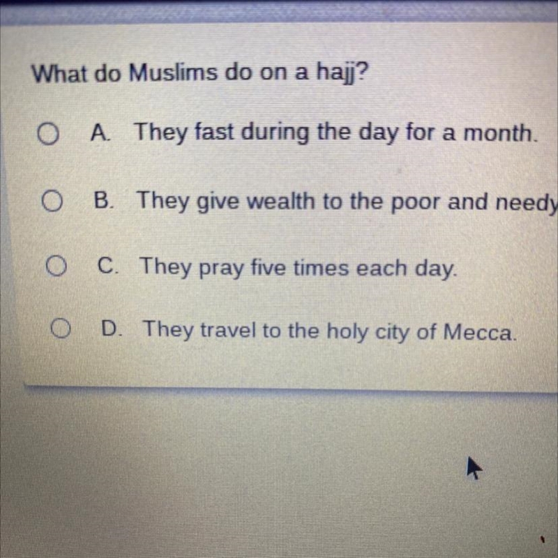 What do Muslims do on a hajj-example-1