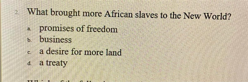 What brought more African slaves to the New World? A.promises of freedom b. business-example-1